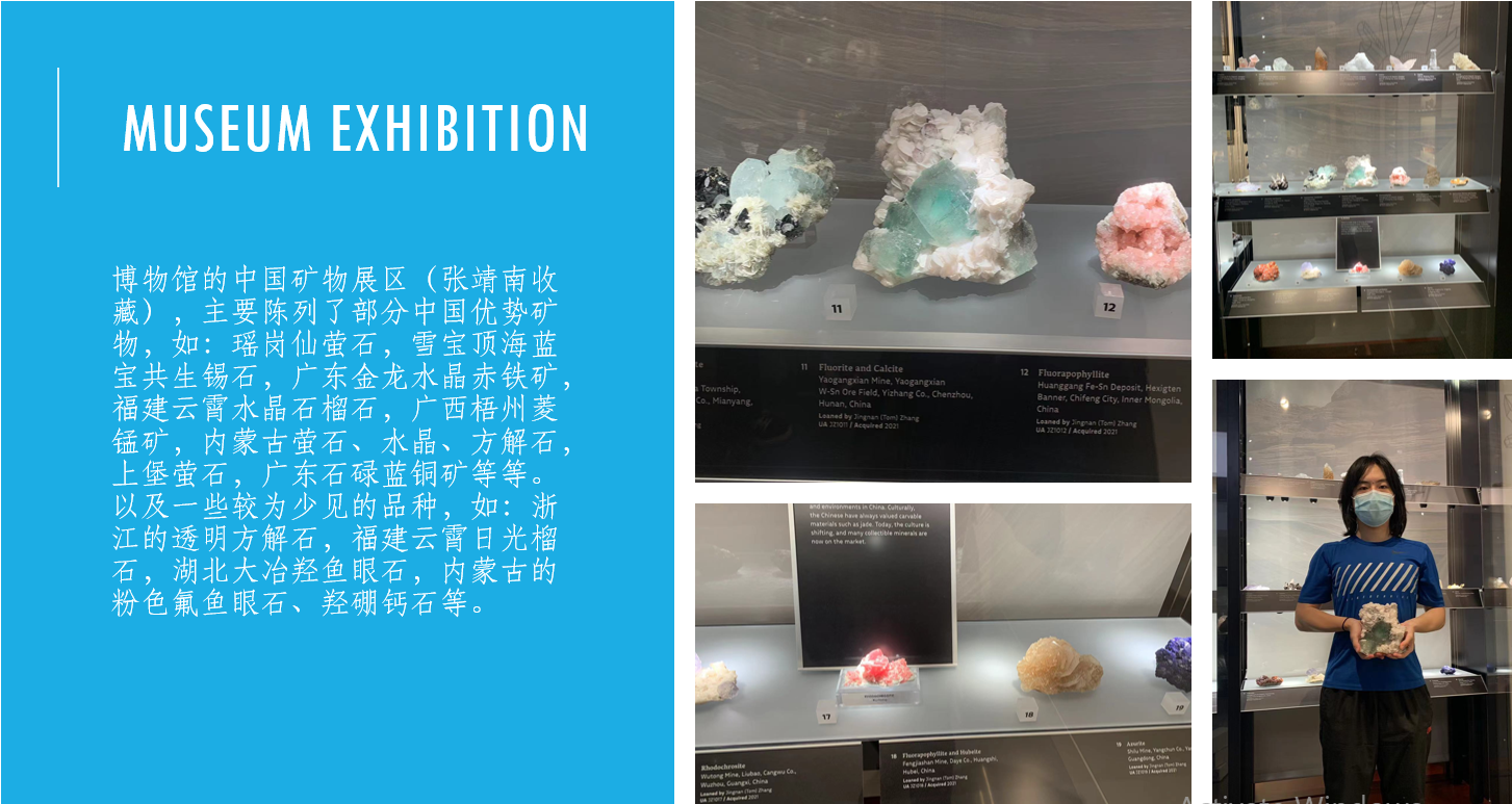 Tom Zhang and a selection of Chinese minerals on exhibit at the University of Arizona Mineralogical Museum in Tucson, AZ. (Image courtesy of T. Zhang)