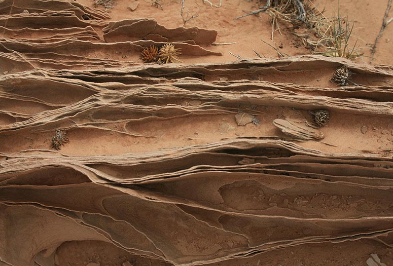 Postdoctoral Scholars Earth, Environmental and Sciences Wiess School of Natural