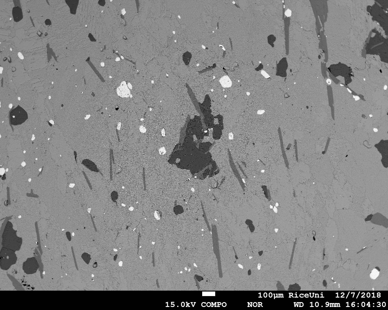 Electron microprobe backscatter image of calcite with detrital mineral grains