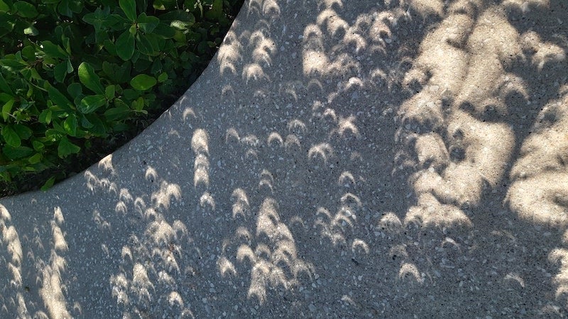80% coverage, annular eclipse projection on a sidewalk in Houston.  Image: Aindrilla Pal