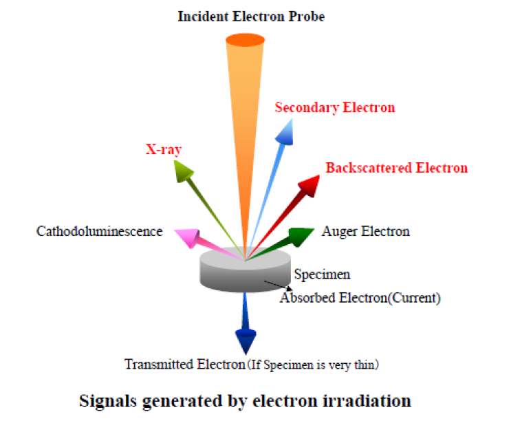 Figure 1. Signals generated by electron irradiation