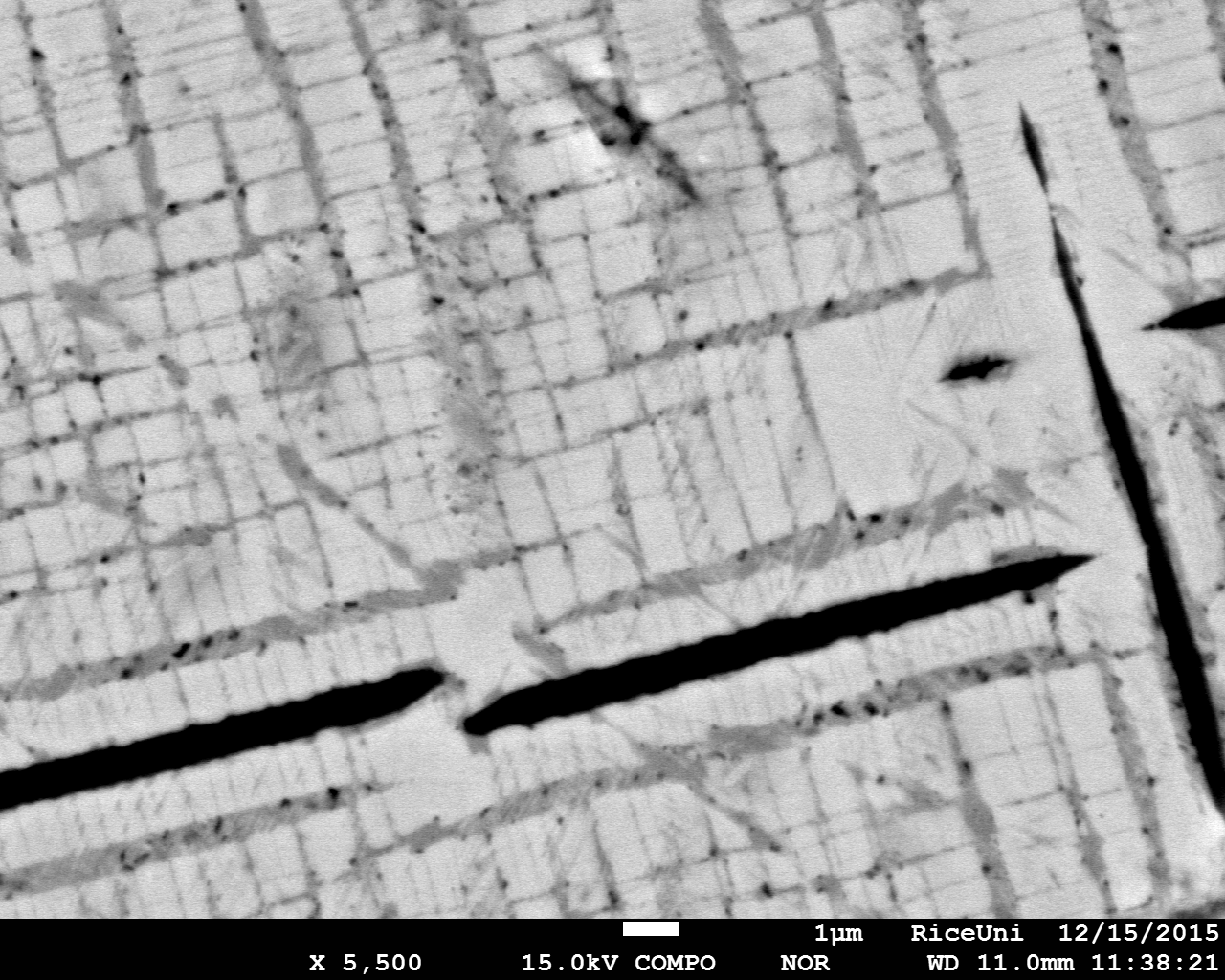 Figure 4. Back scattered Electron image of Ti-rich magnetite with exsolutions of ilmenite (light gray) and spinel (black).