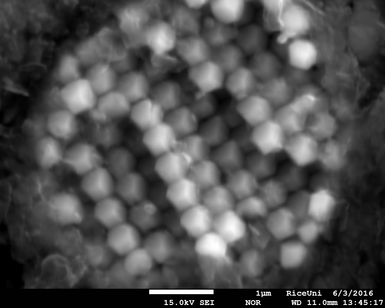 Figure 5. Secondary Electron Image of framboidal pyrite (dodecahedrons of FeS2 nanocrystals) in a black shale