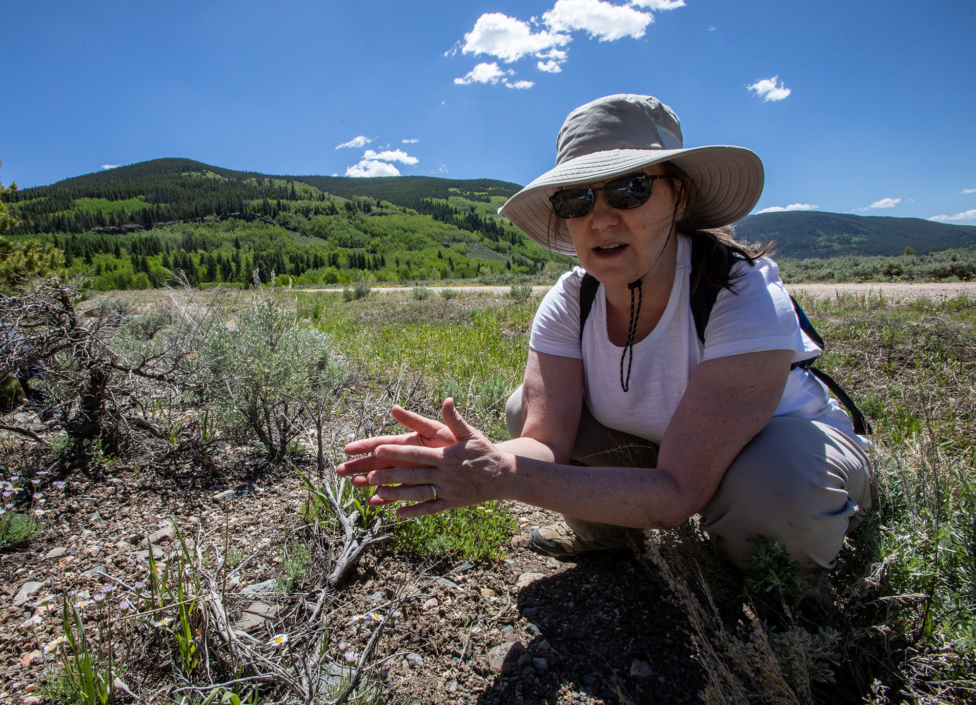 Image of Carrie Masiello during the REU field experience talking about soil development
