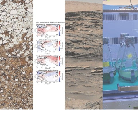 4 column panel with research images from honors research projects