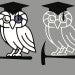 Owl on rock hammer with mortarboard_2